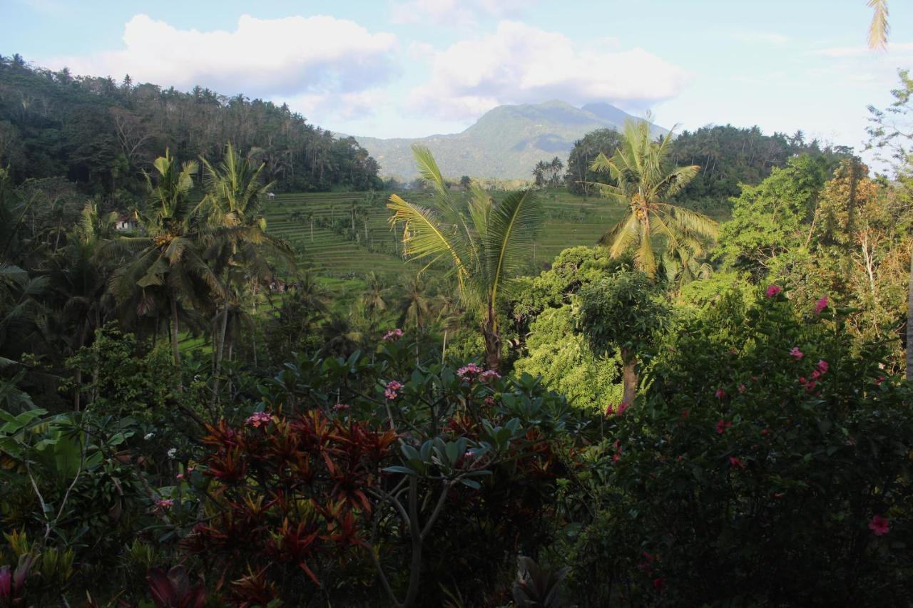 Pondok Lembah Dukuh Homestay Karangasem  Exterior photo